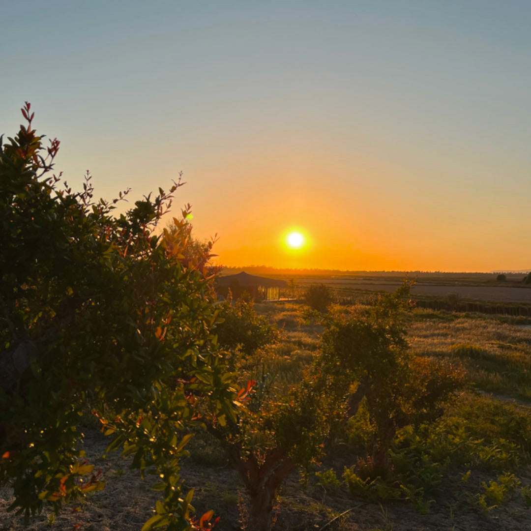 Photo de paysage, reench preloved